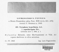 Gyrophora hyperborea image